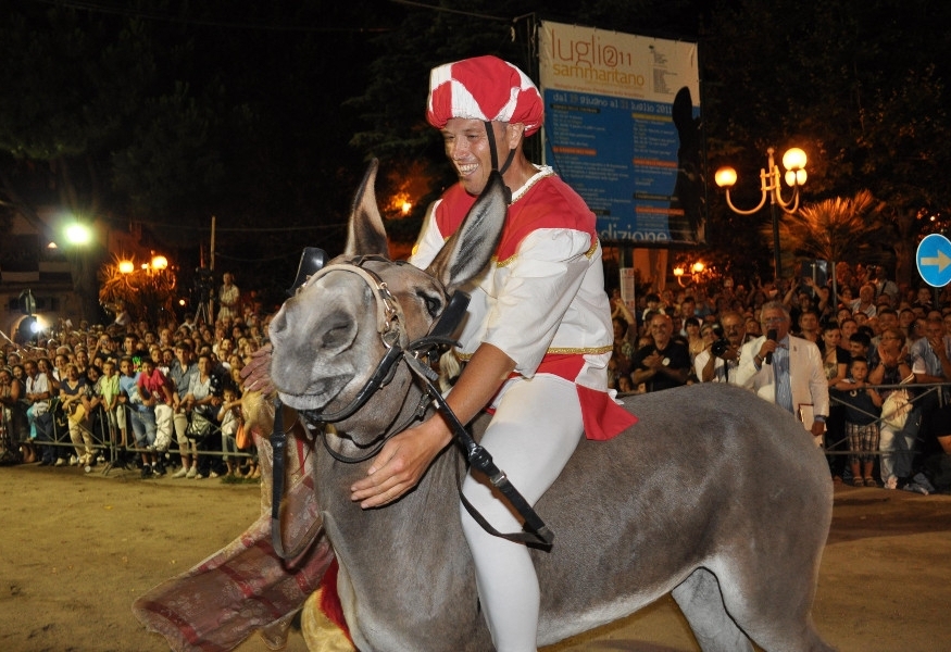 Asini a tutta birra il palio degli asini e la festa delle contrade